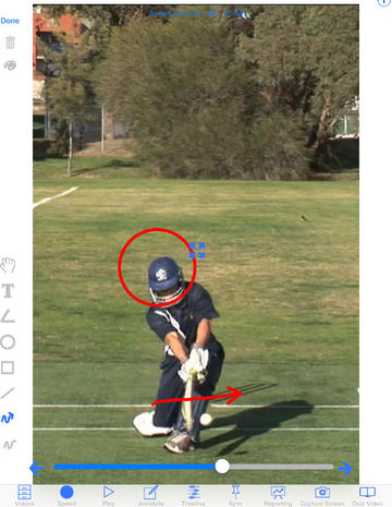 Video analysis of your cricket technique