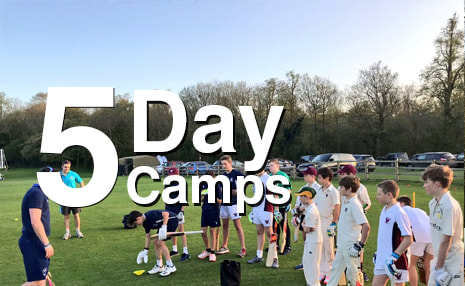 5 Day Cricket Camp Picture